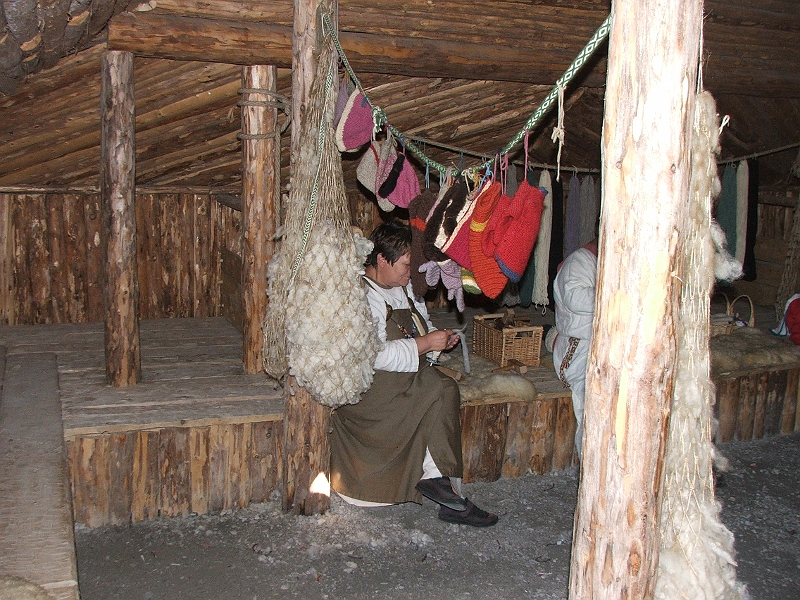 NFLD_drive_to_and-viking_settlement 876.jpg